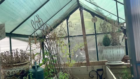Plants in Spring 2025, NJ