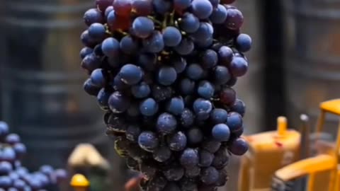 Fruits Juice🍎🍓 || Intellitoon || Ai Video || Animation Video || Trending ai video