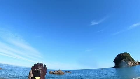 Octopus Stuck to Guy's Back