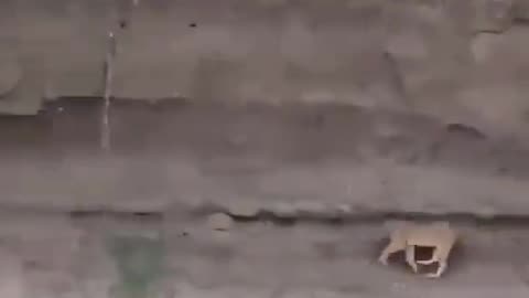Pitfall IRL