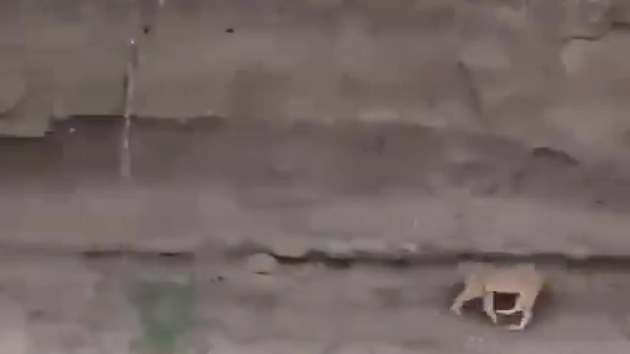 Pitfall IRL