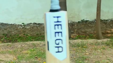 Heega Legacy Edition Lightweight Kashmir Willow Cricket Bat