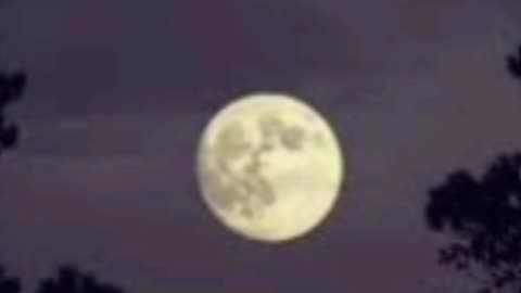 Elini cekti