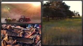 Trent Loos in the Morning 7/23/2025