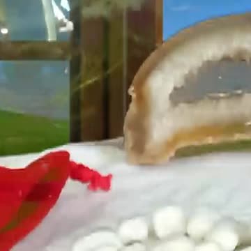 😊 PROMO CAPÍTULO 11: “50 PIEDRAS, 1 RESPUESTA DEL UNIVERSO” 😊