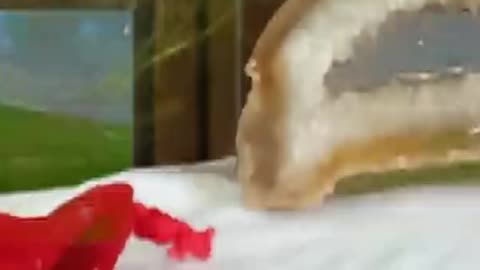 😊 PROMO CAPÍTULO 11: “50 PIEDRAS, 1 RESPUESTA DEL UNIVERSO” 😊