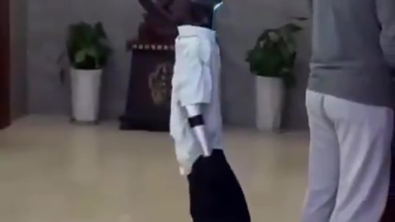 Who Programmed This One?