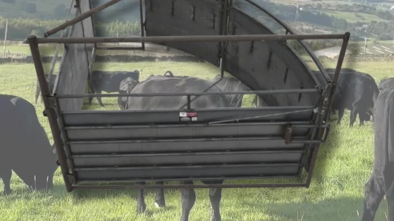 American-Made Crowding Tub