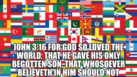 565 TRUMP X5 WE WILL TRIUMPH