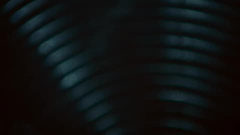 Danny Brown Starburst (Official Video)