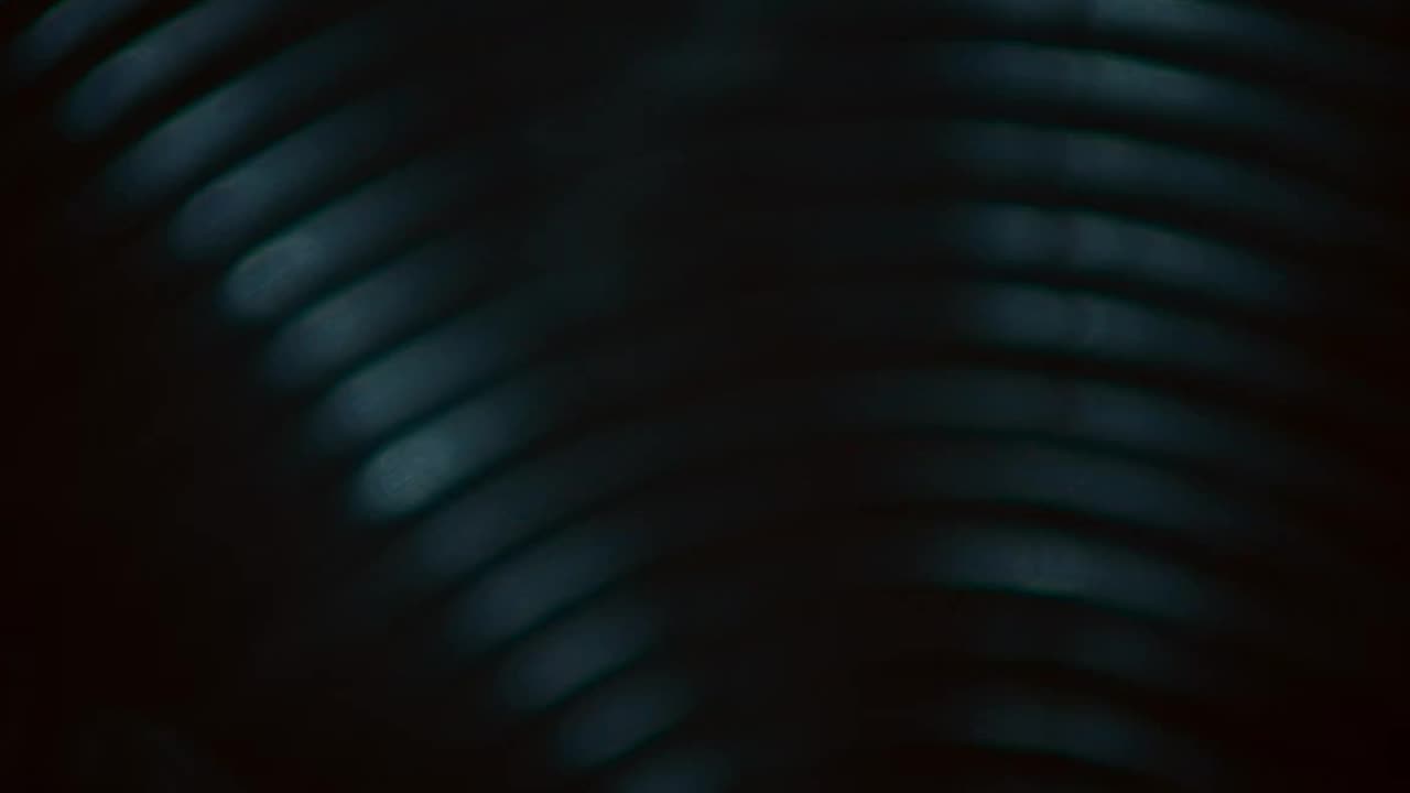 Danny Brown Starburst (Official Video)