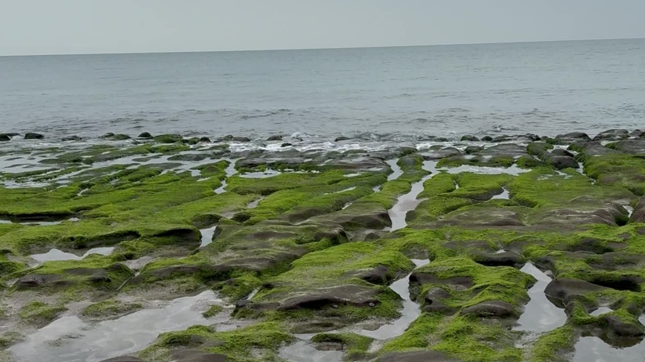 Old Plum Coast