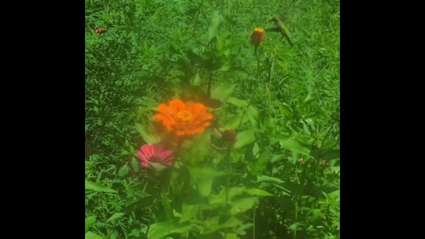 Moments In Nature