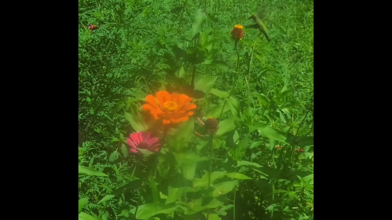 Moments In Nature