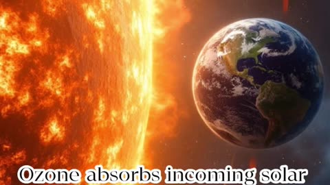 The Unexpected Warming Effect of Ozone