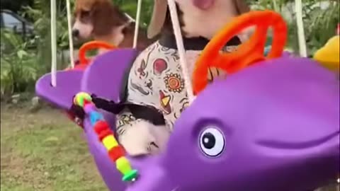 😺 Funny & Cute Animal Videos Compilation Of The 2025🤣
