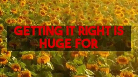 Expert Guide to Best Sunlight Plants for Thriving Gardens