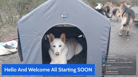 Questions, Where Do We Go From Here?