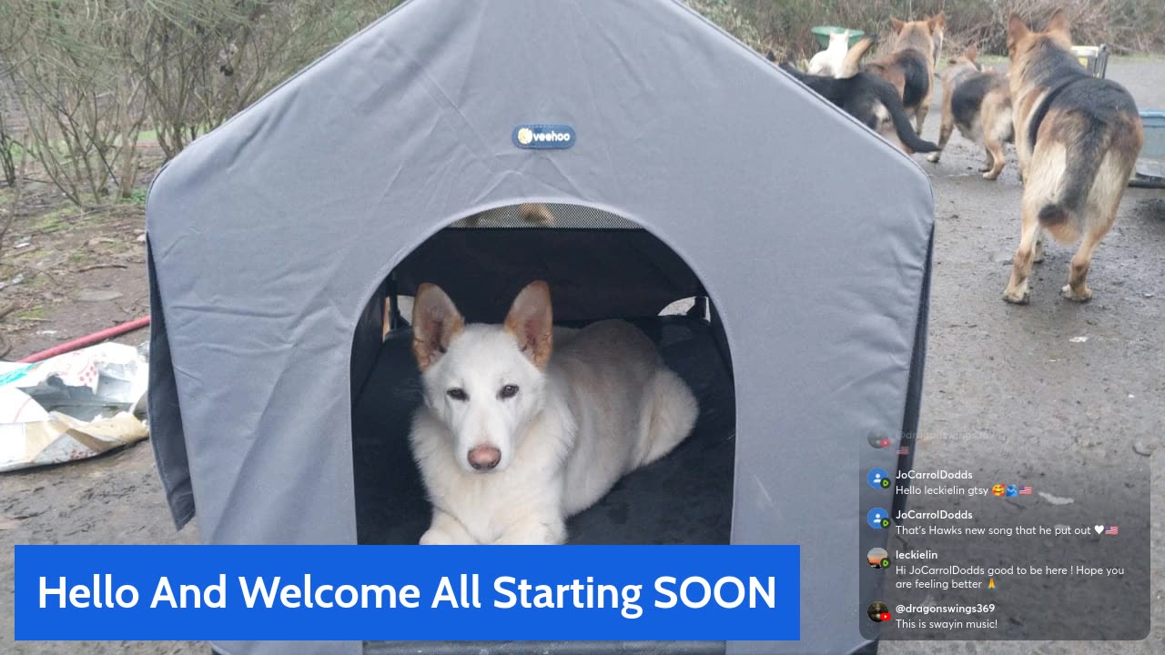 Questions, Where Do We Go From Here?