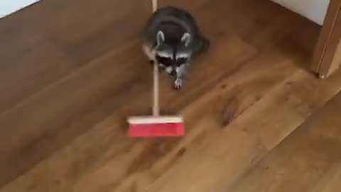 When you need to get paid, Quick!
