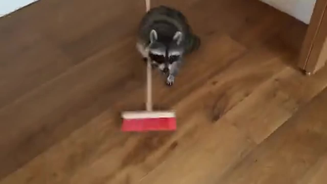 When you need to get paid, Quick!