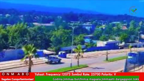 Oduu Galgala ONM-ABO Waxaabajjii 8-2025 itti dhiyaadhaa!