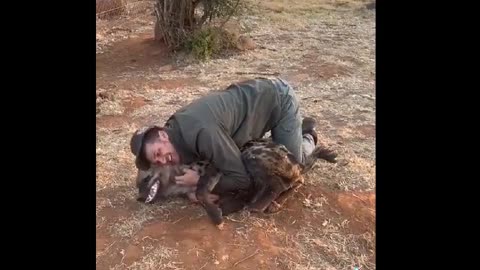 Animal Therapy