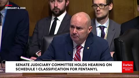 Lee Asks Witness: Did Biden’s Policies Contribute To The ‘Increase Of Fentanyl Entering The U.S.’?