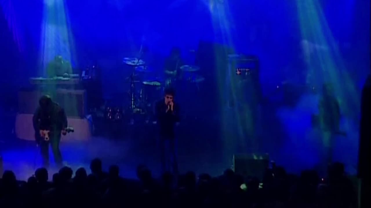 Never Stop - Echo and The Bunnymen (live)