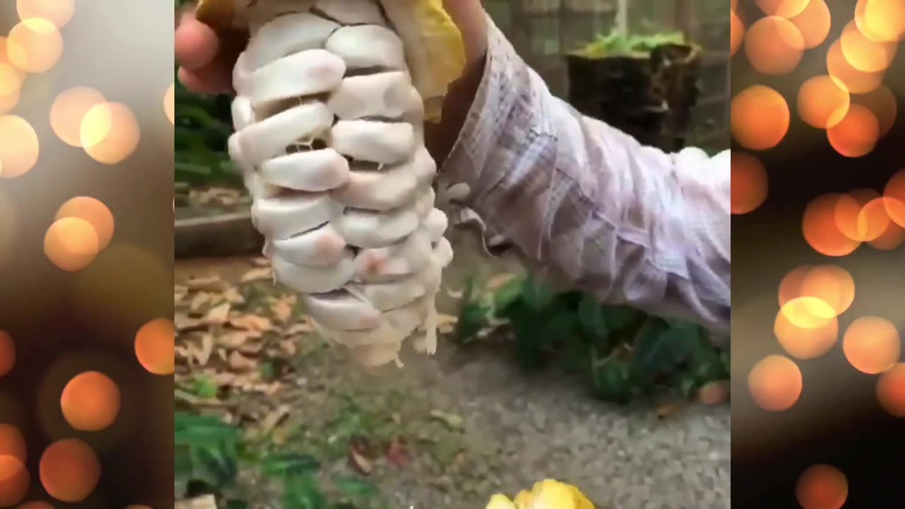 Satisfying