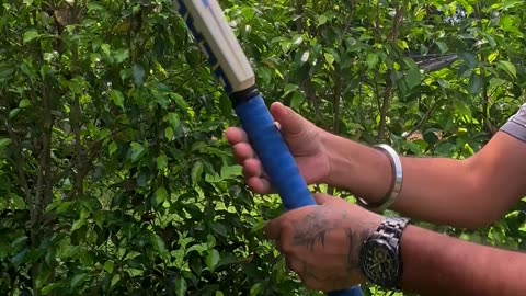 Heega Gladiator Super 🏏 Elevate Your Game with the Kashmir Willow Grade 1 Bat! 💪