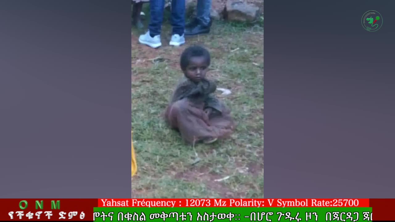 ሚያዚያ 7-2025 ONM-ABO እለታዊ የኦሮሞ ነፃነት ሰራዊትና የኦሮሚያ ውሎ!