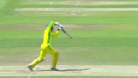 Best Cricket Shoots .......