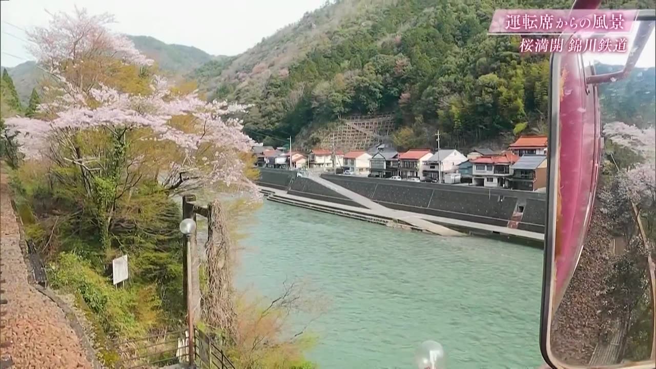 運転席からの風景10min. 桜満開 錦川鉄道・JR土讃線