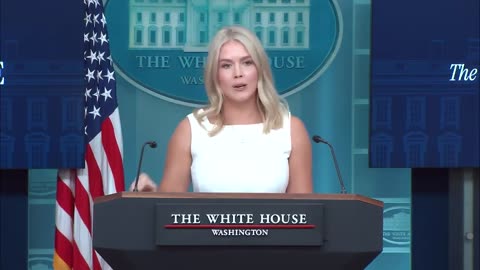 🚨🔥"465 total arrests and counting," says Karoline Leavitt on POTUS's effort to Make D.C. Safe