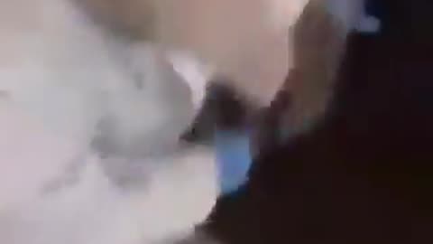 Womans door kicked down by covid masked person