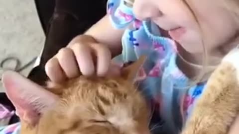 funny animals
