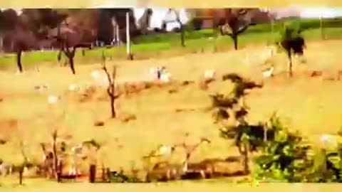 ️: “It’s Just an RC Plane Crash?!” - China Airlines Flight 611