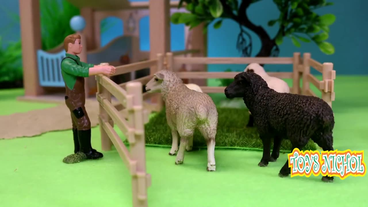 Spread Out Mat to Eat Fruit Together in the Yard in the Morning