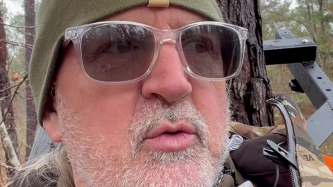 Briars, Bucks and a Broken Boat