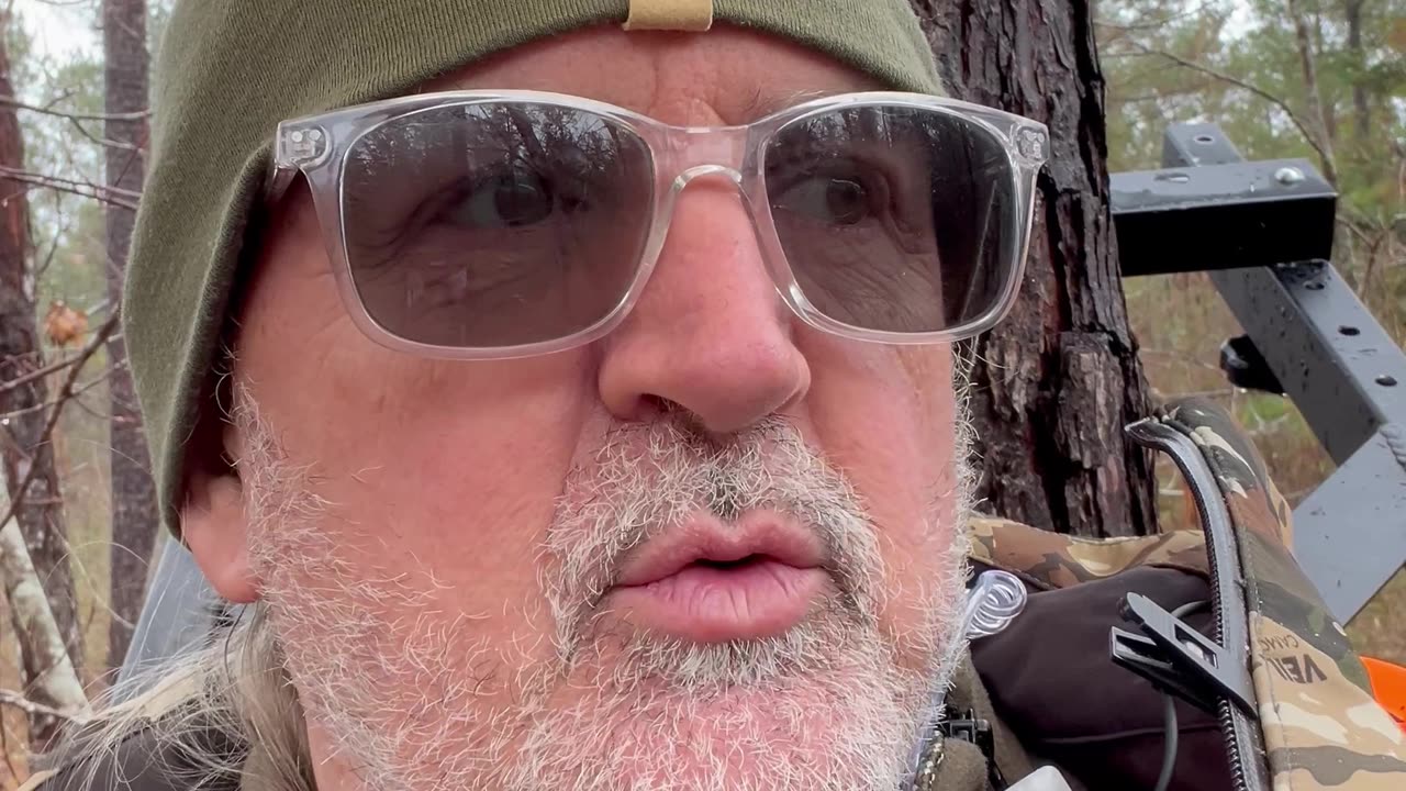 Briars, Bucks and a Broken Boat