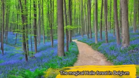 Secret Travel Destinations You Never Knew Existed HD 2024 #traveldestination #weekendgetaway