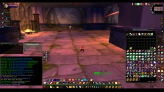 Turtle wow - PUG DMW / Dire Maul West - Paladin POV