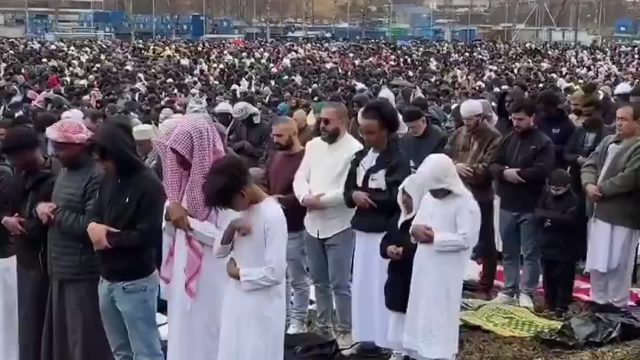 White Genocide By Demographic Replacement