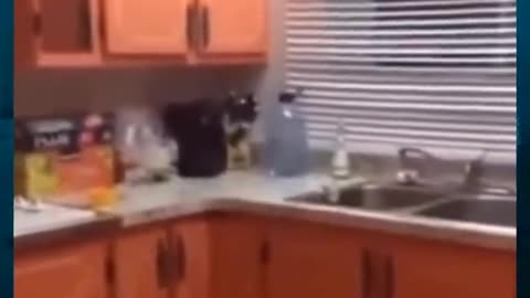 😱👻 You Won't Believe What They Caught on Camera! Rake Entity | TheHauntingHour