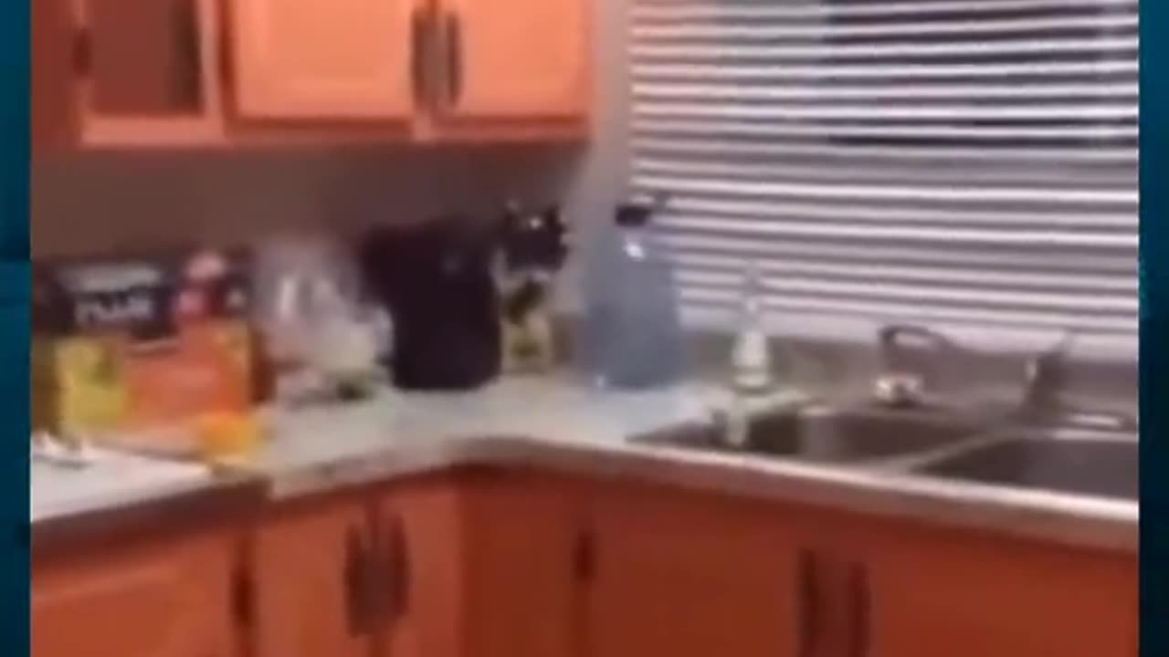 😱👻 You Won't Believe What They Caught on Camera! Rake Entity | TheHauntingHour