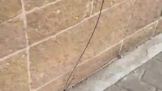 Denuncian que delincuentes desmantelaron centro de integración para migrantes