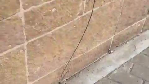 Denuncian que delincuentes desmantelaron centro de integración para migrantes