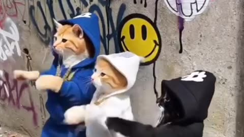 Dancing cats