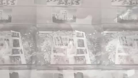 Tim Rifat TikTok Videos